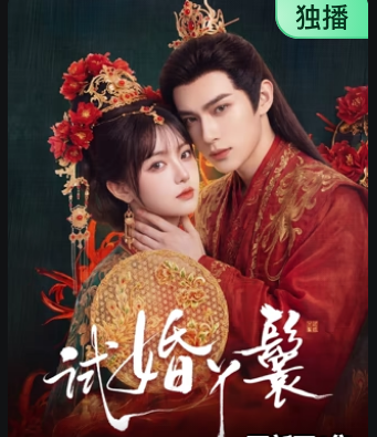 试婚丫鬟封面图